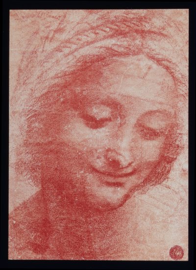 女性の頭（紙に炭） 作： Leonardo da Vinci